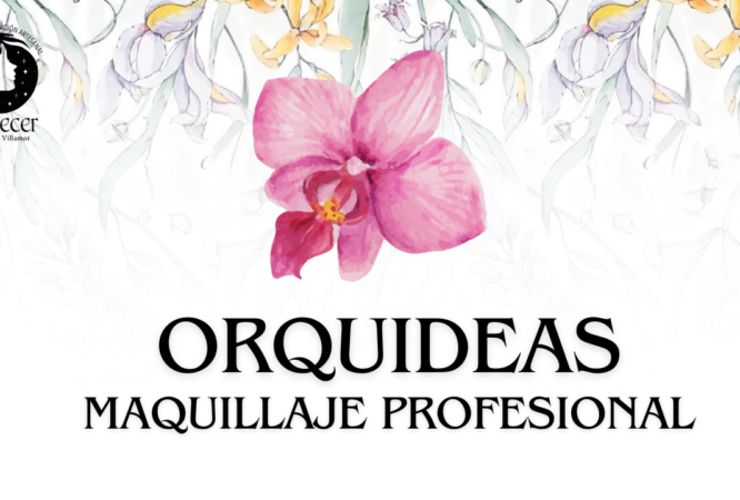 CARRERA MAQUILLAJE PROFESIONAL-2