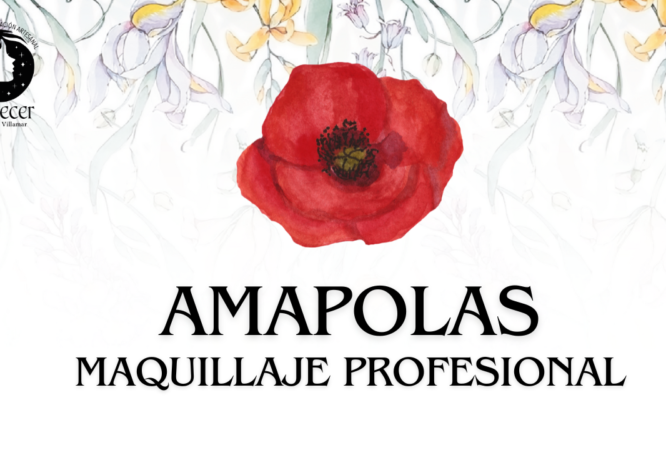 CARRERA MAQUILLAJE PROFESIONAL-5