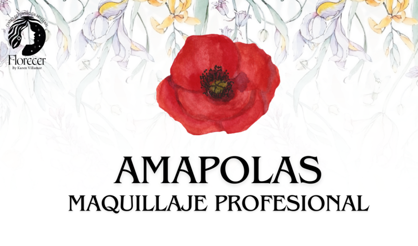 CARRERA MAQUILLAJE PROFESIONAL-5