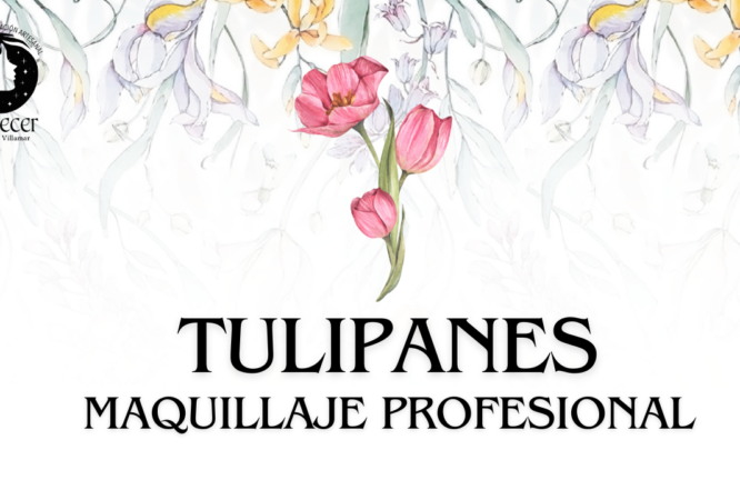 CARRERA MAQUILLAJE PROFESIONAL-11