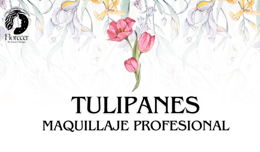 CARRERA MAQUILLAJE PROFESIONAL-11