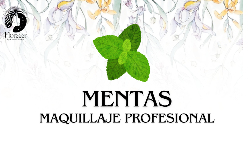 CARRERA MAQUILLAJE PROFESIONAL-12