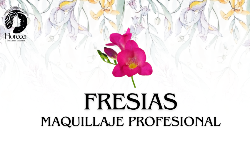 CARRERA MAQUILLAJE PROFESIONAL-13